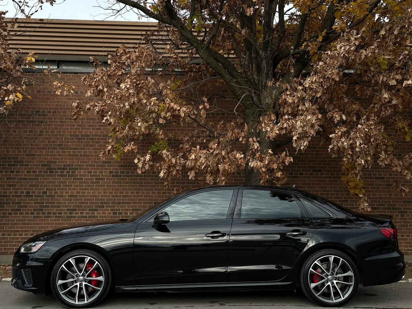 Audi S4  — photo 9