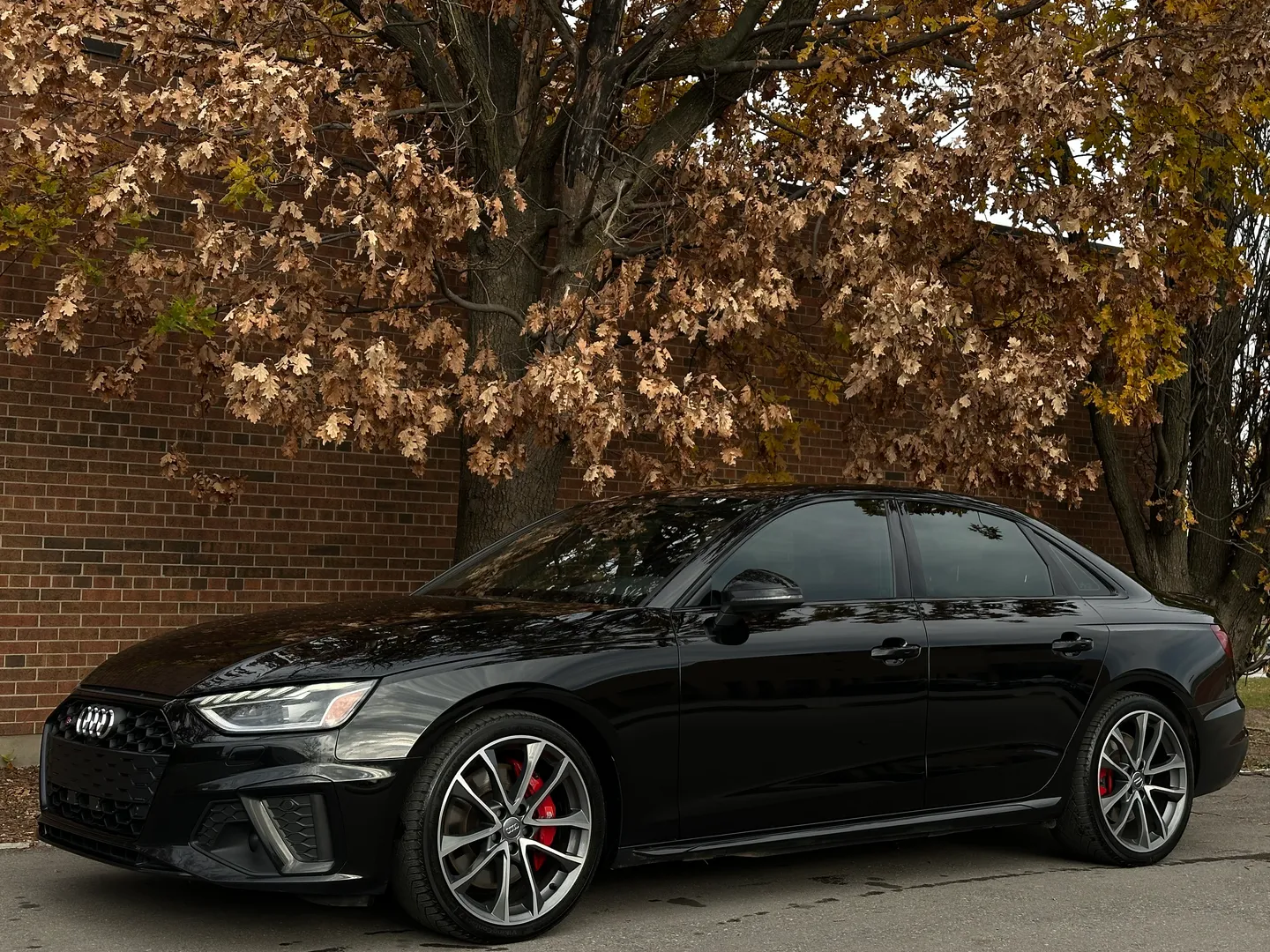 Audi S4  — photo 8