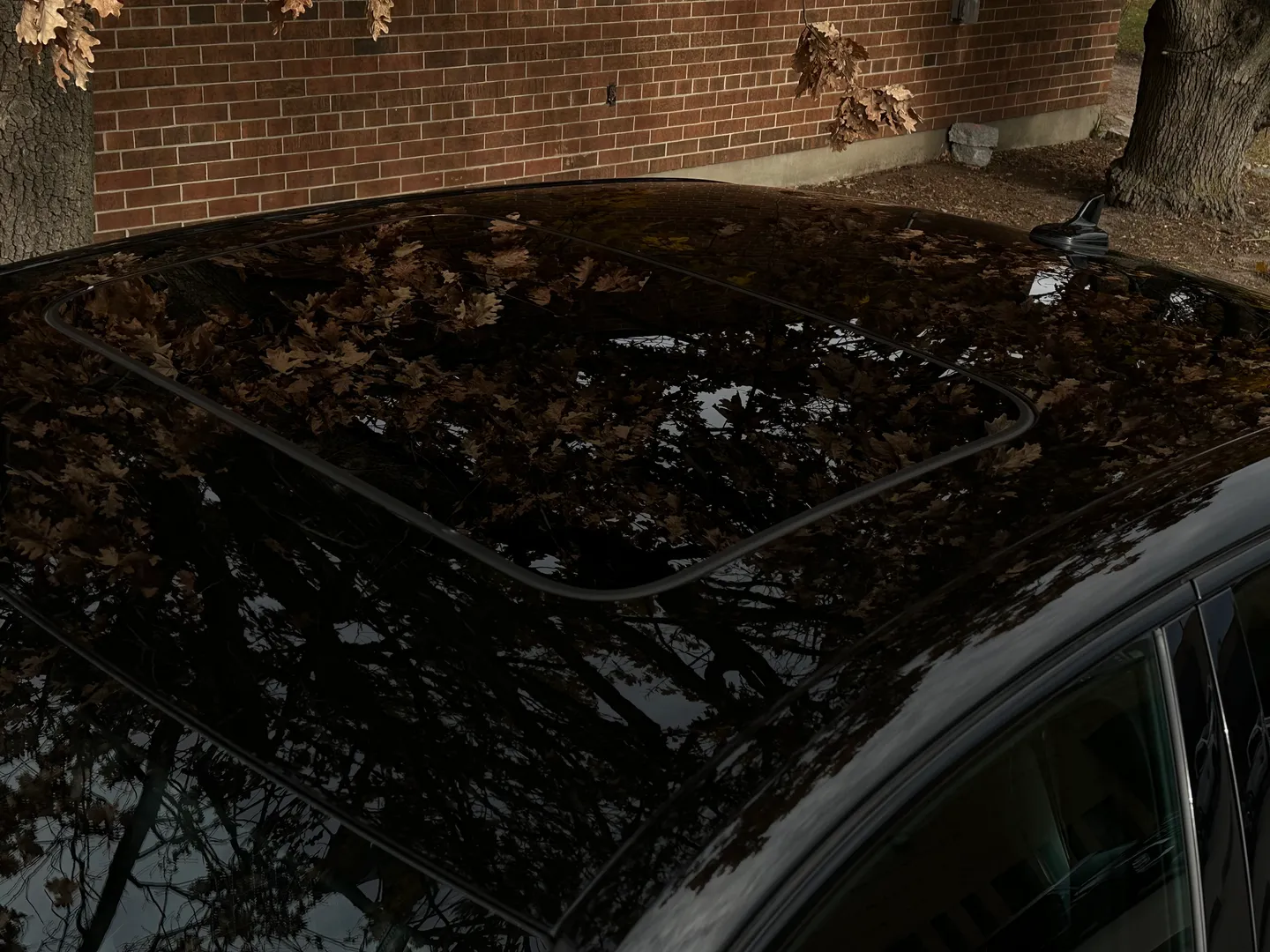 Audi S4  — photo 14