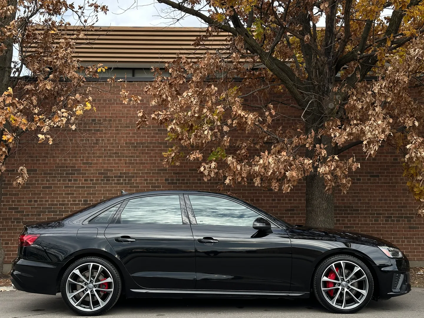 Audi S4  — photo 86