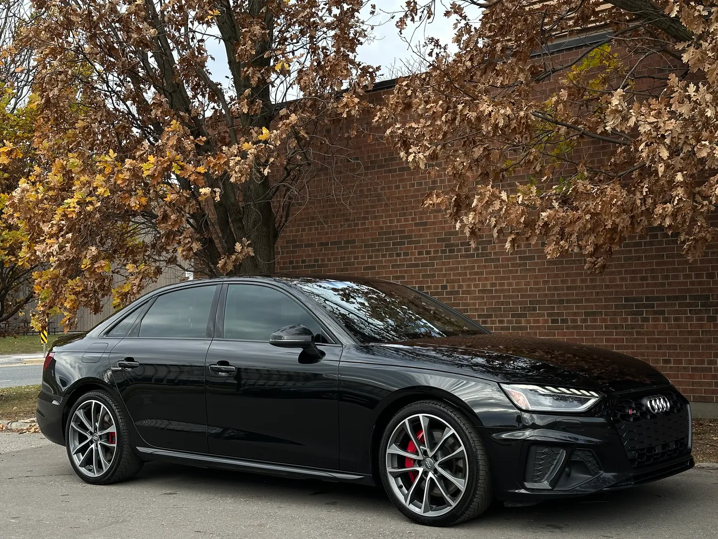 Audi S4  — photo 89