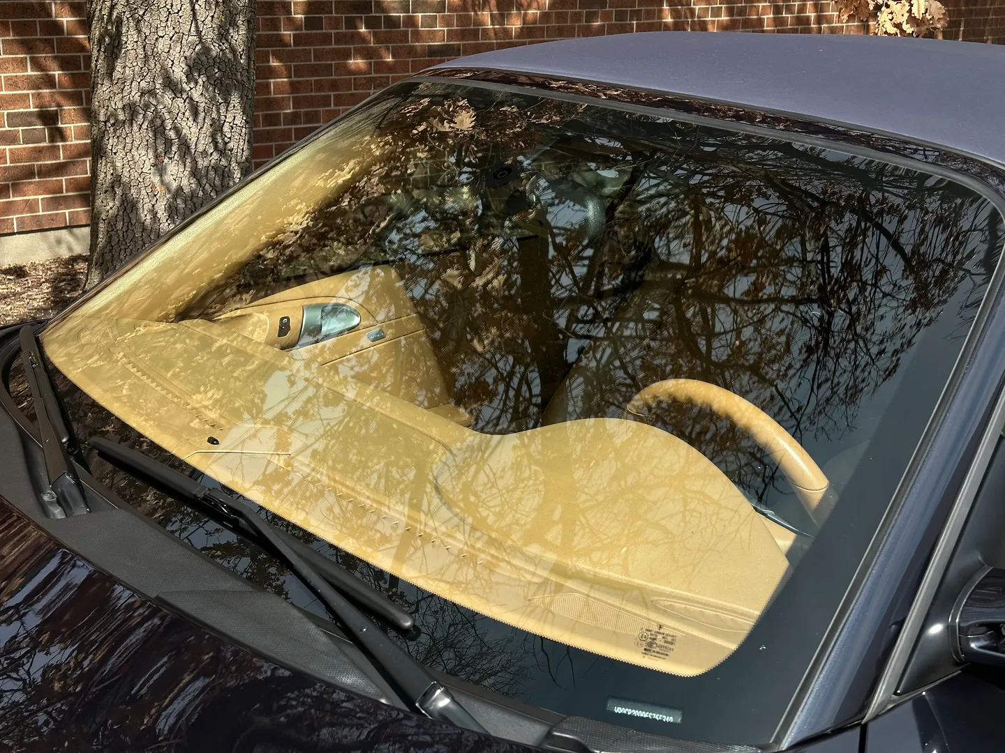 Porsche 911 Carrera S 6 Speed Manual Cabriolet — photo 16