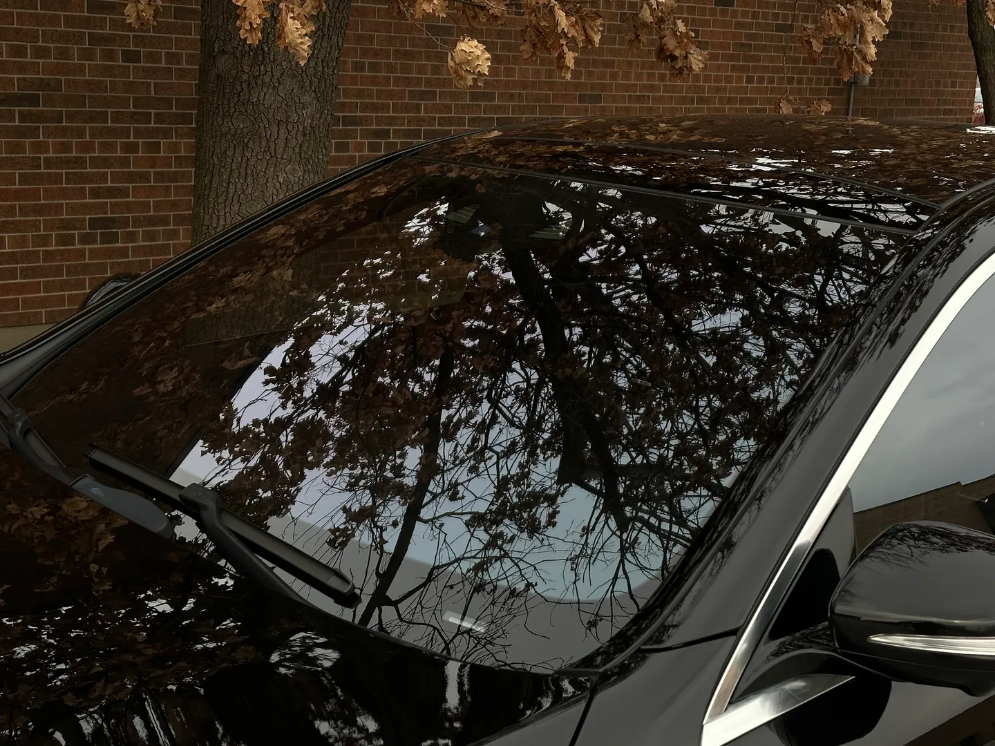 Mercedes Benz S63 AMG Sedan — photo 15