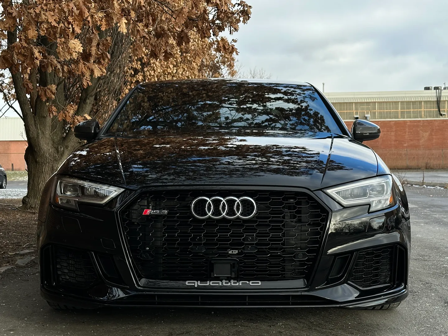 Audi RS3 IROZ IMS 1000 — photo 4