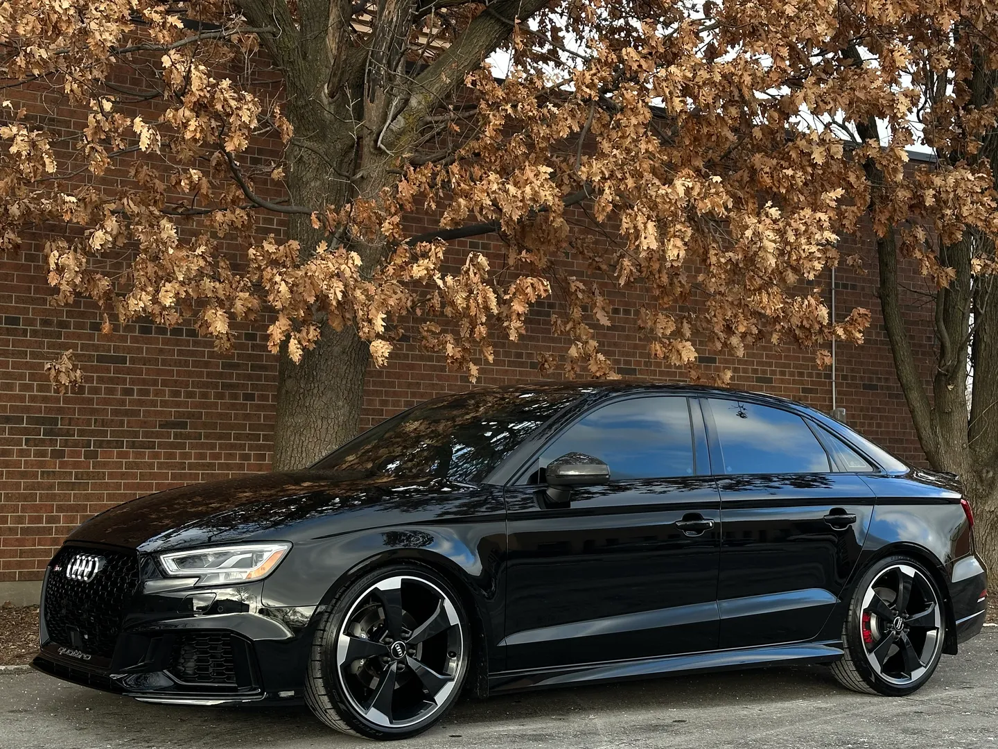 Audi RS3 IROZ IMS 1000 — photo 9