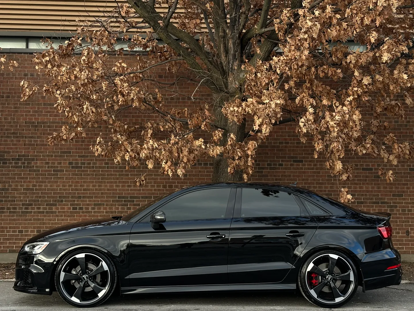 Audi RS3 IROZ IMS 1000 — photo 10