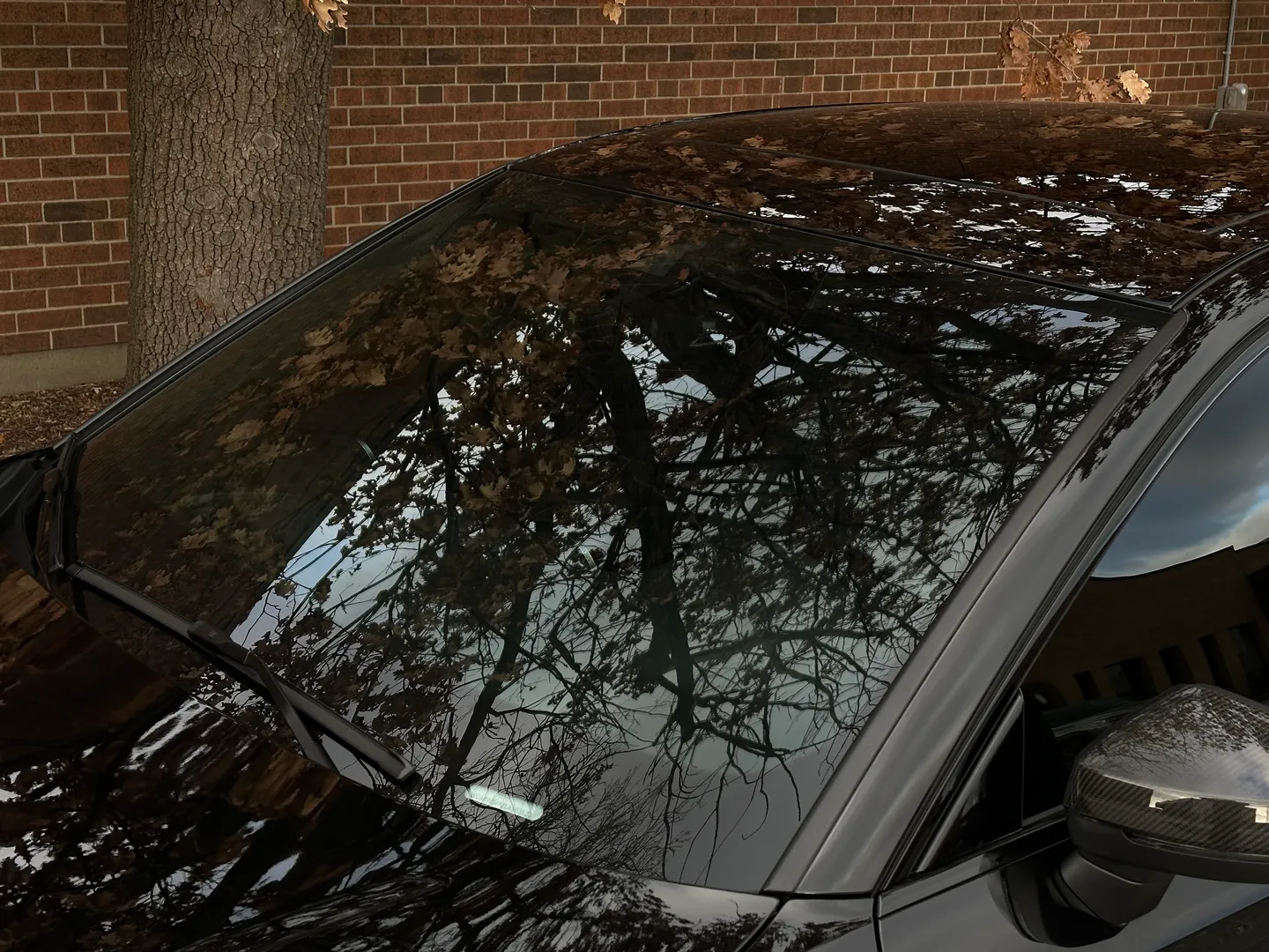 Audi RS3 IROZ IMS 1000 — photo 15