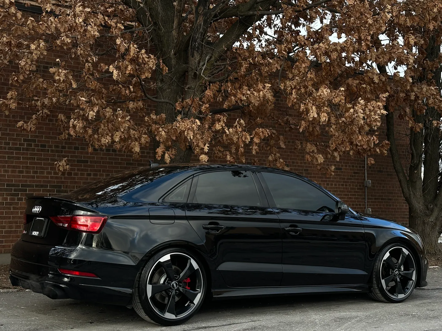Audi RS3 IROZ IMS 1000 — photo 86