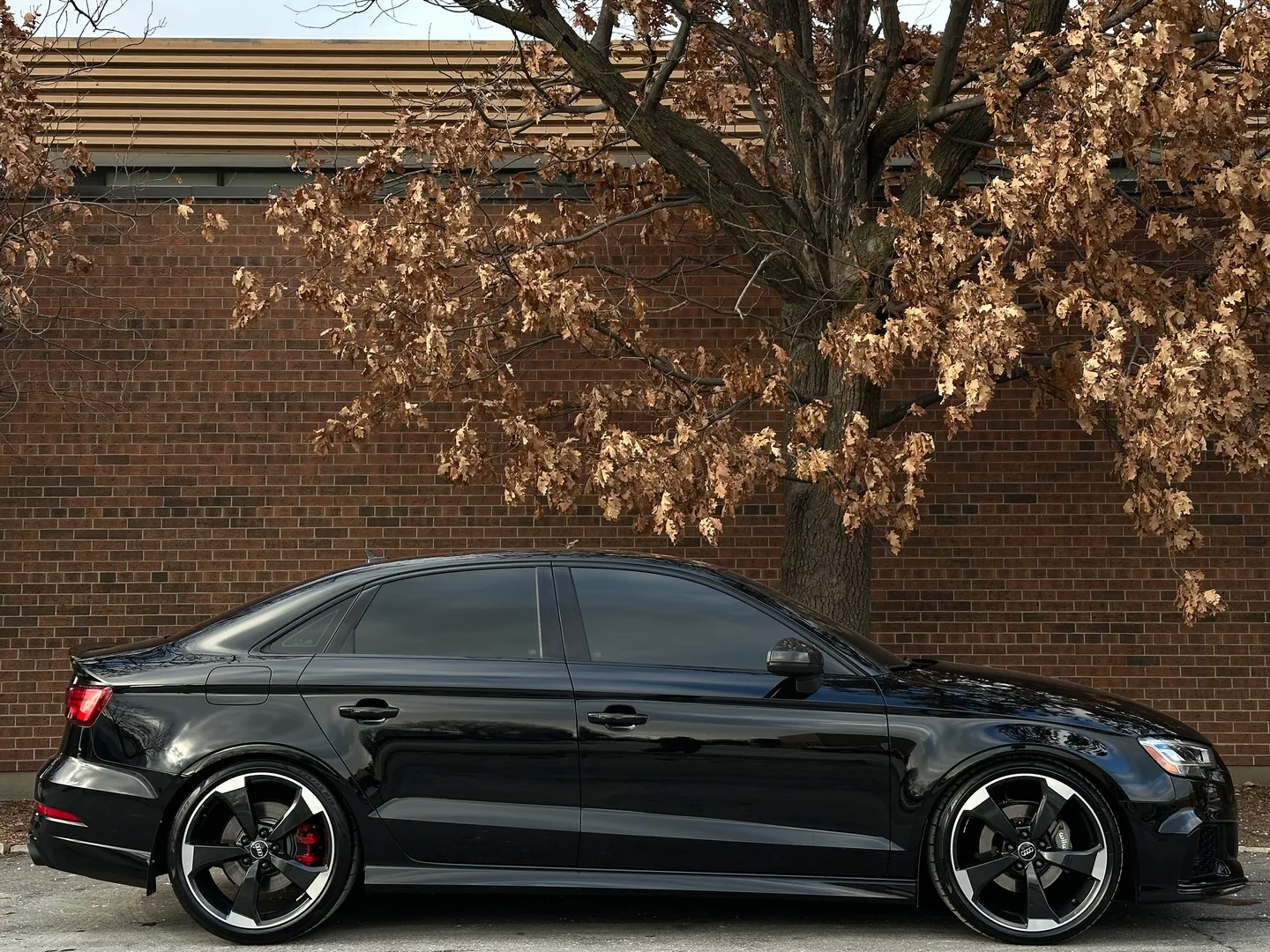 Audi RS3 IROZ IMS 1000 — photo 87