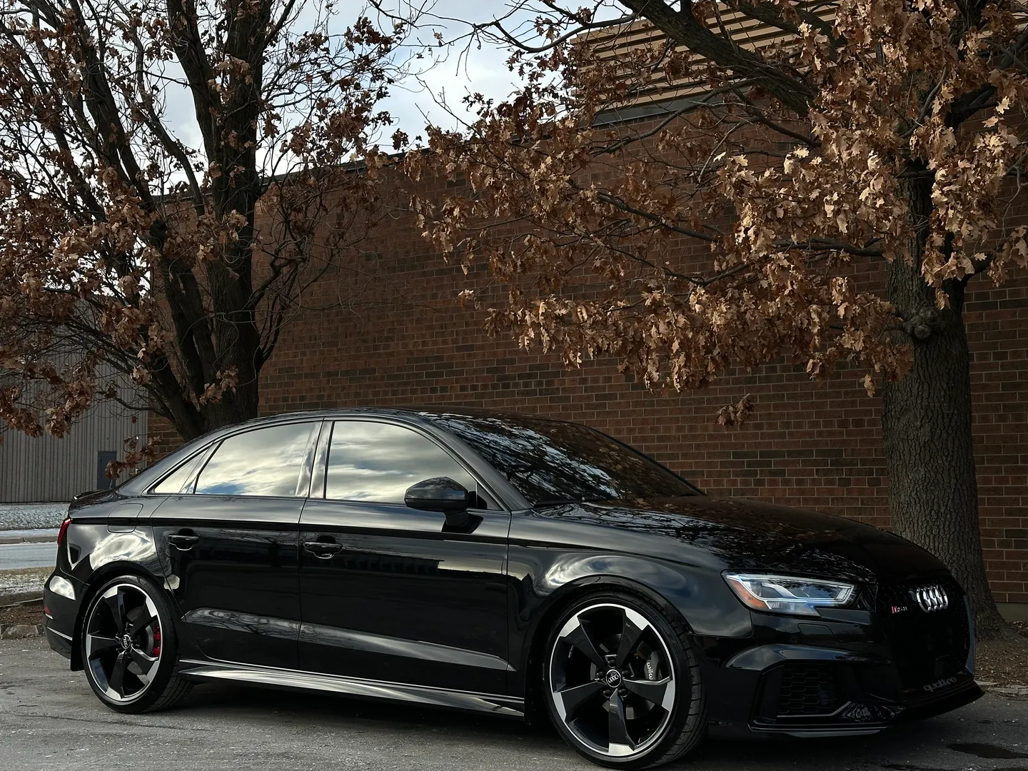 Audi RS3 IROZ IMS 1000 — photo 90
