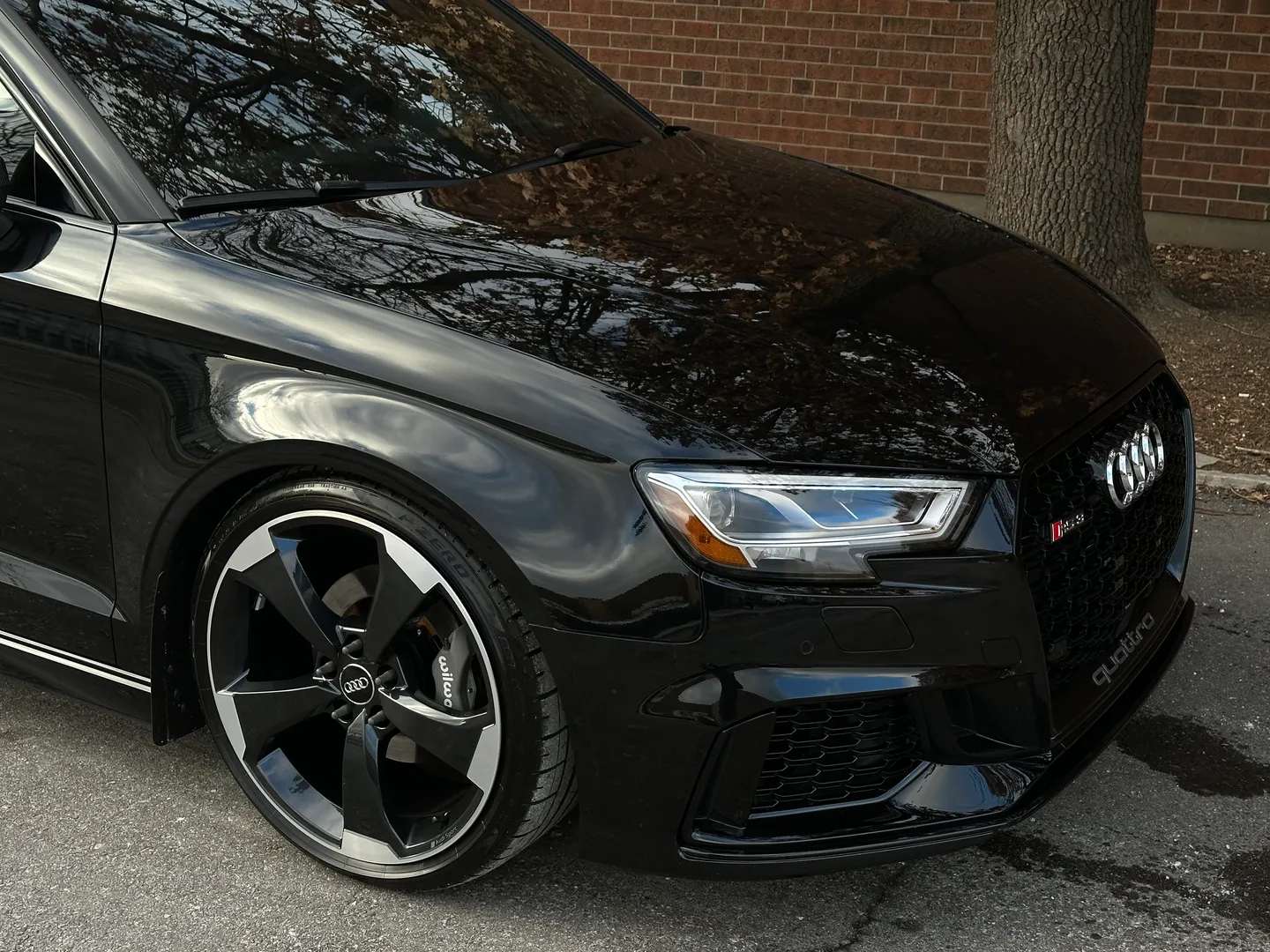 Audi RS3 IROZ IMS 1000 — photo 91