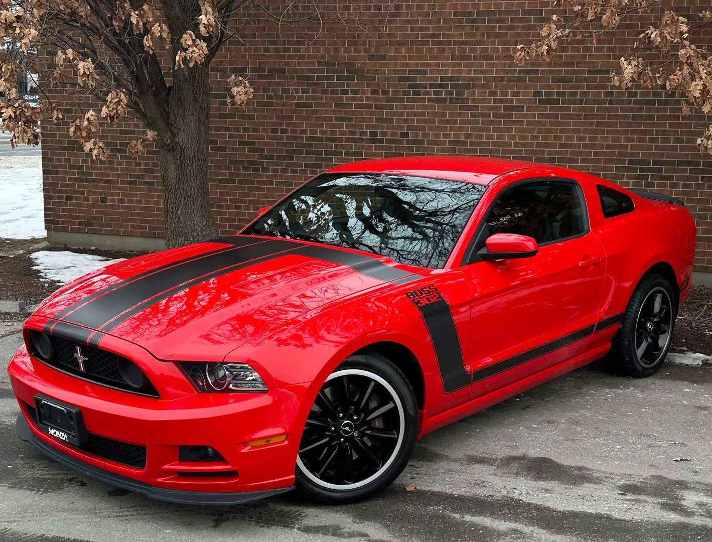 Ford Mustang Boss 302 — photo 2