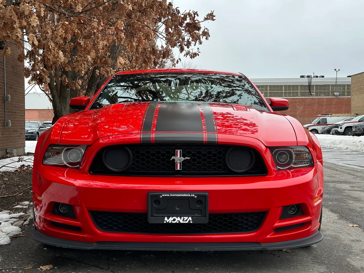 Ford Mustang Boss 302 — photo 4