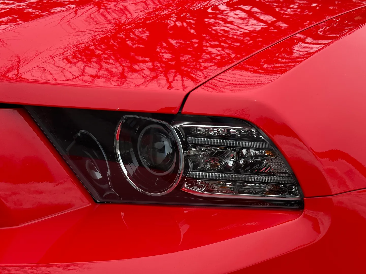 Ford Mustang Boss 302 — photo 6