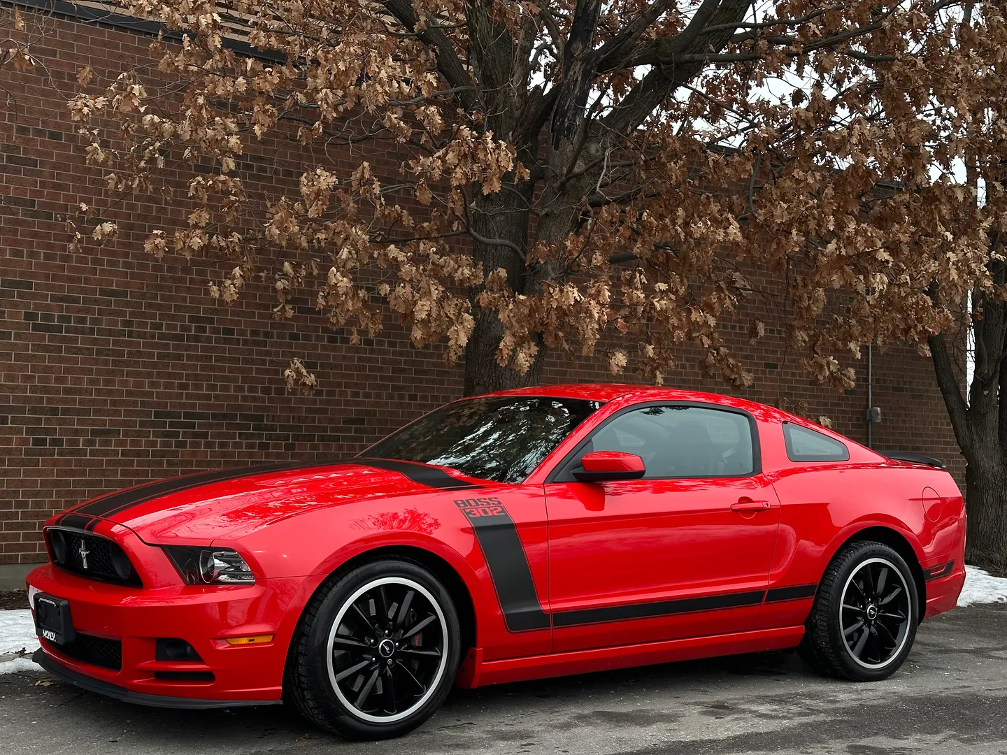 Ford Mustang Boss 302 — photo 8