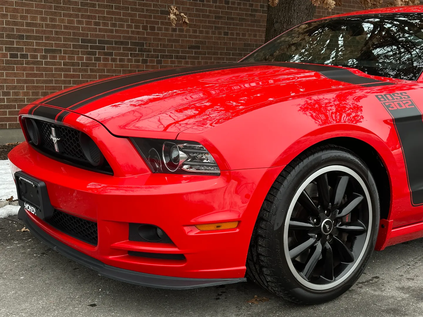 Ford Mustang Boss 302 — photo 7
