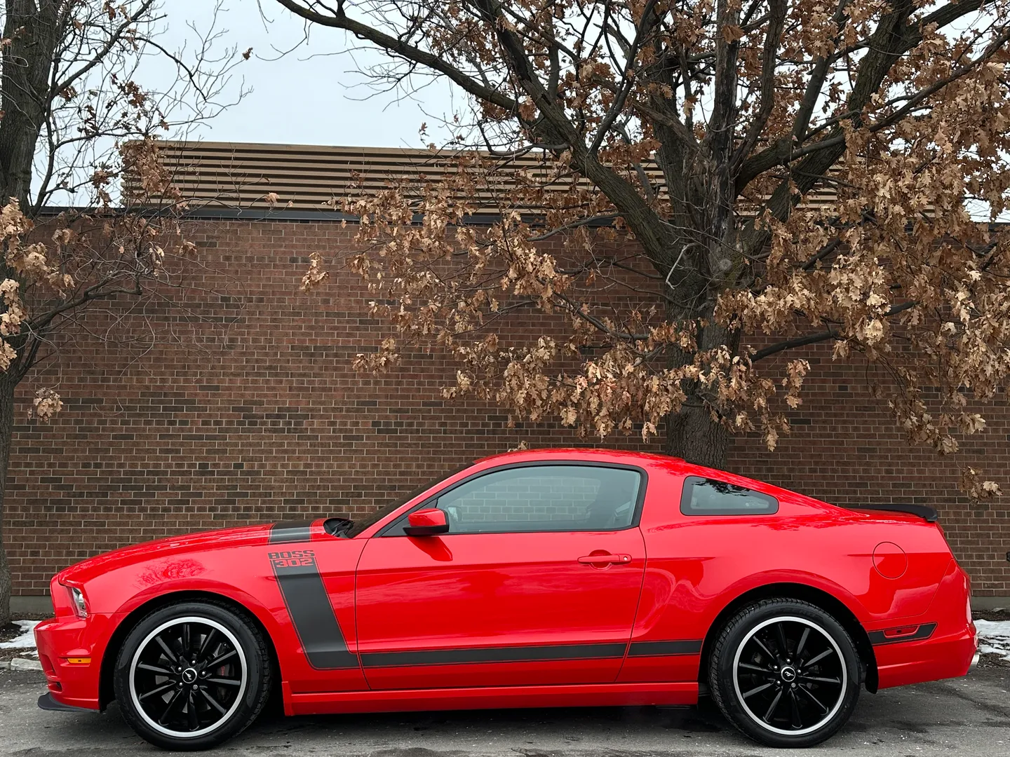 Ford Mustang Boss 302 — photo 9