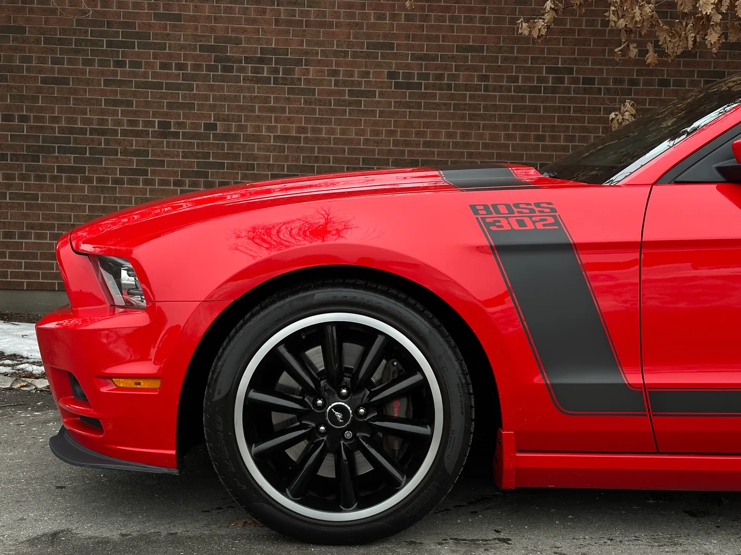 Ford Mustang Boss 302 — photo 10