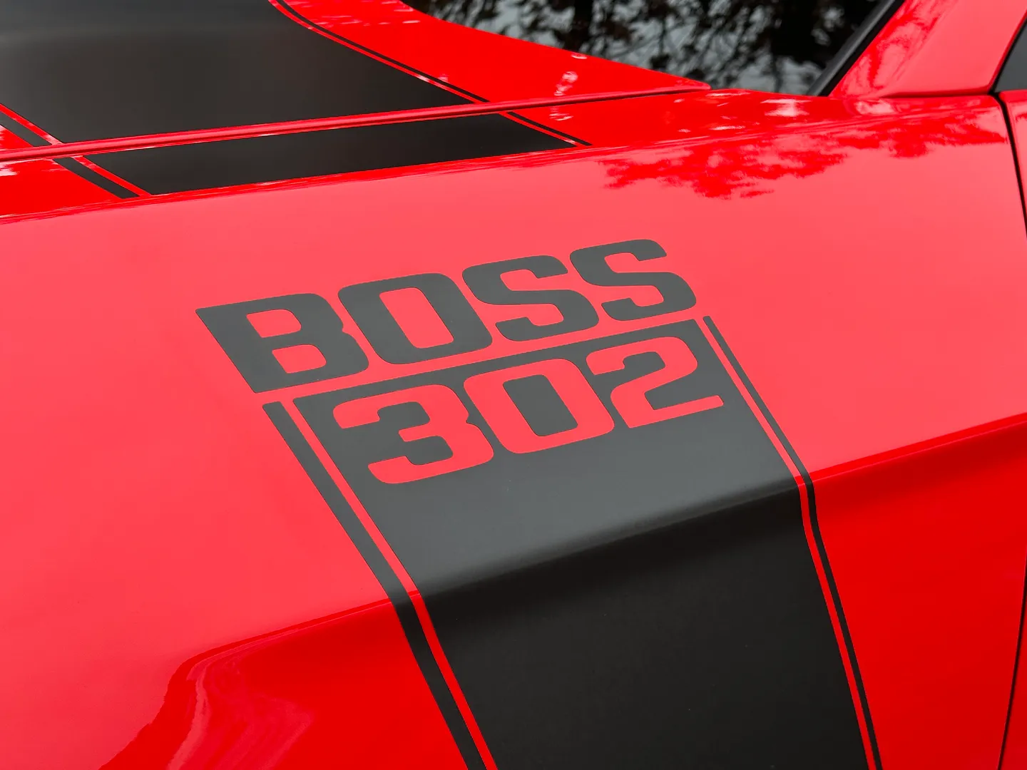 Ford Mustang Boss 302 — photo 15