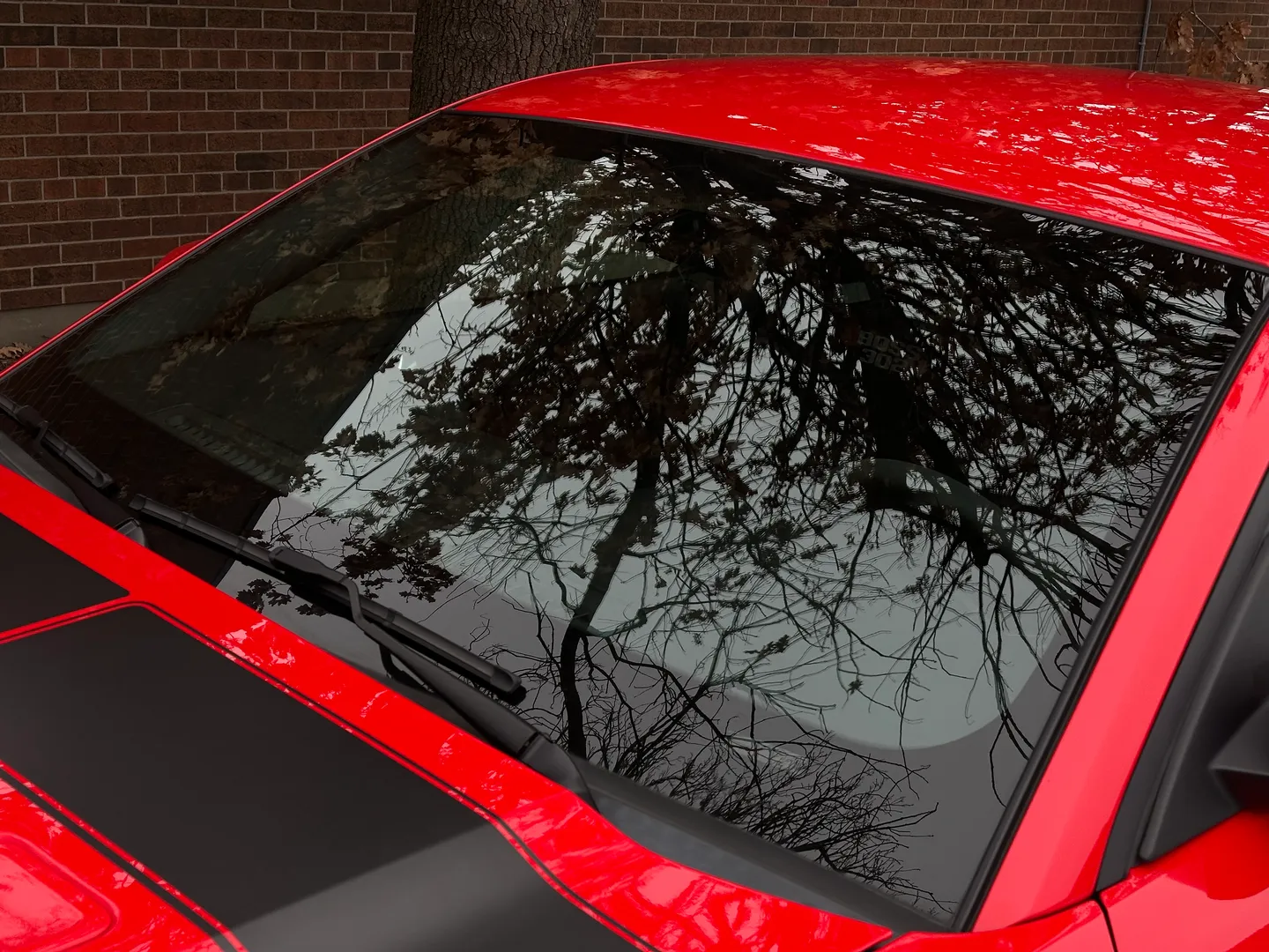 Ford Mustang Boss 302 — photo 16