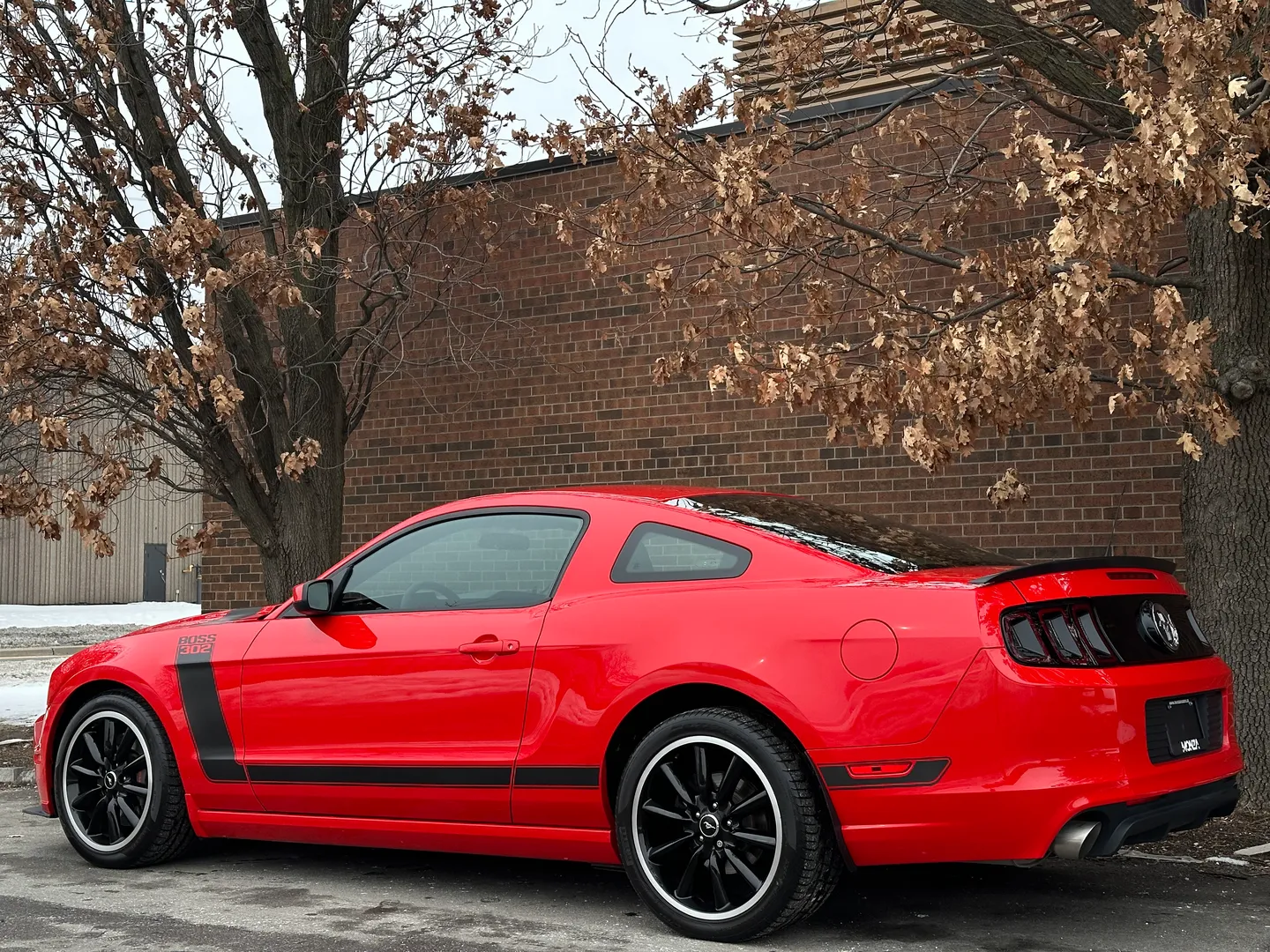 Ford Mustang Boss 302 — photo 20