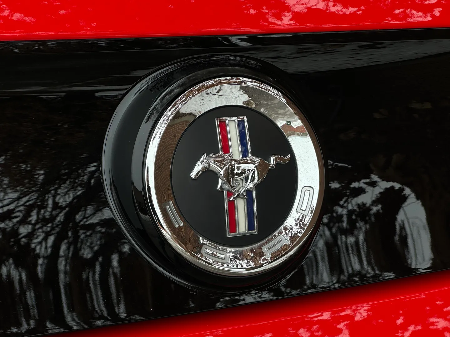 Ford Mustang Boss 302 — photo 25