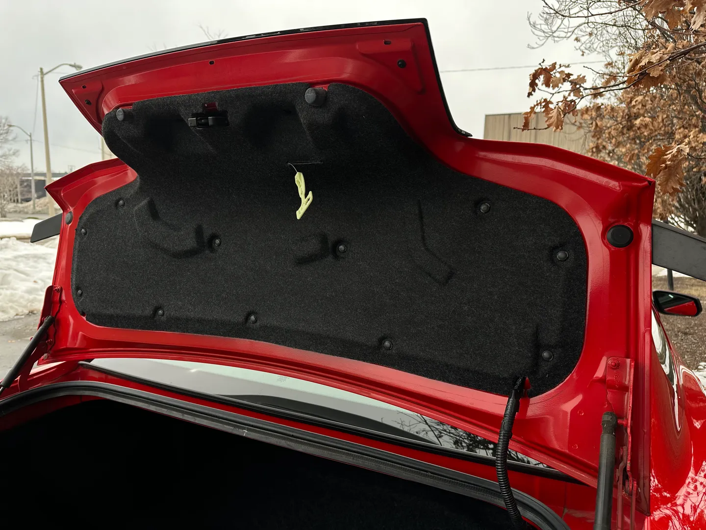 Ford Mustang Boss 302 — photo 29