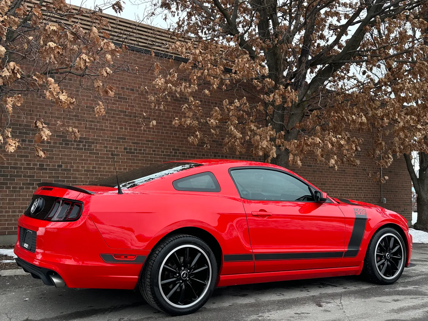 Ford Mustang Boss 302 — photo 77