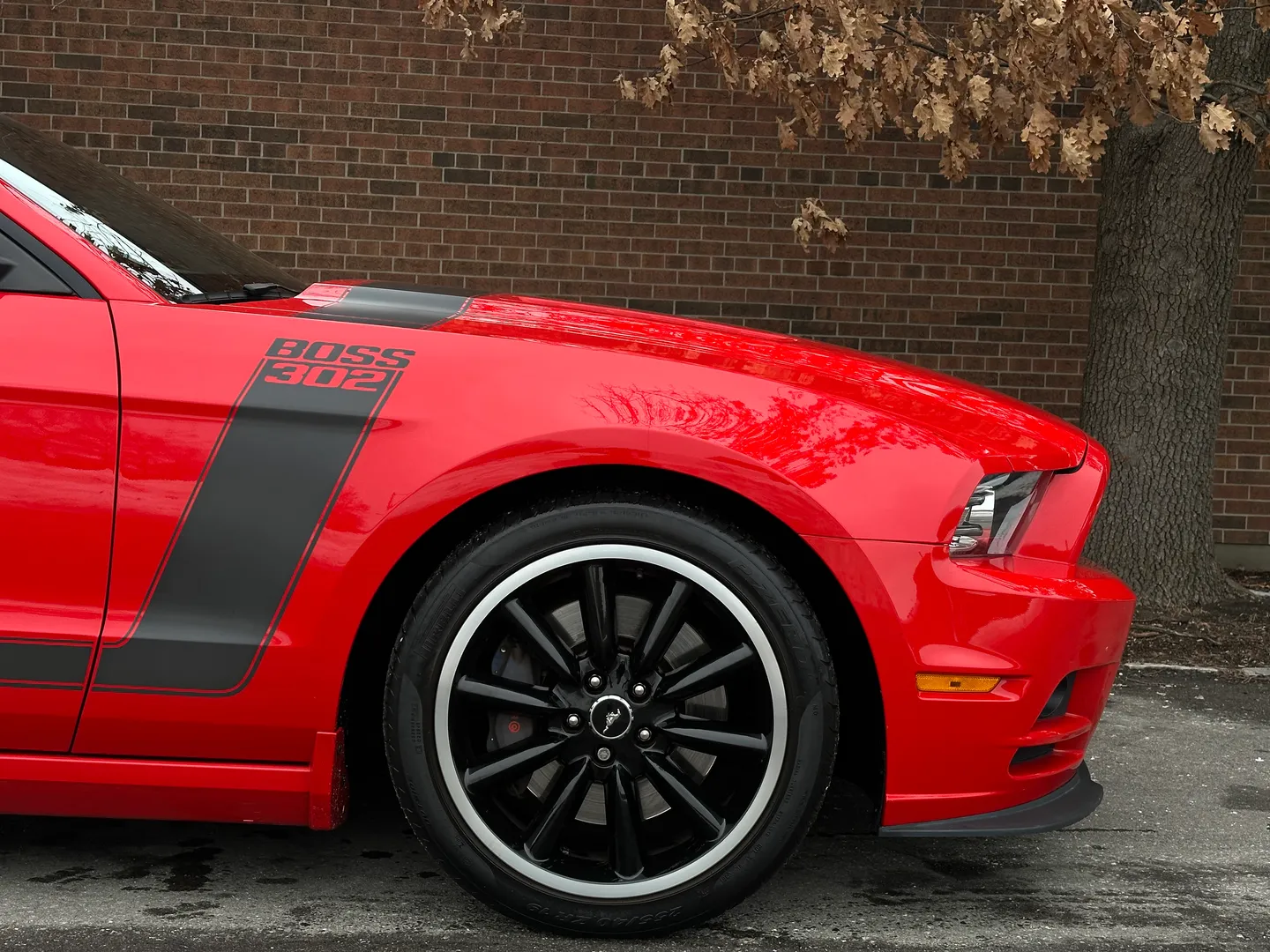 Ford Mustang Boss 302 — photo 80