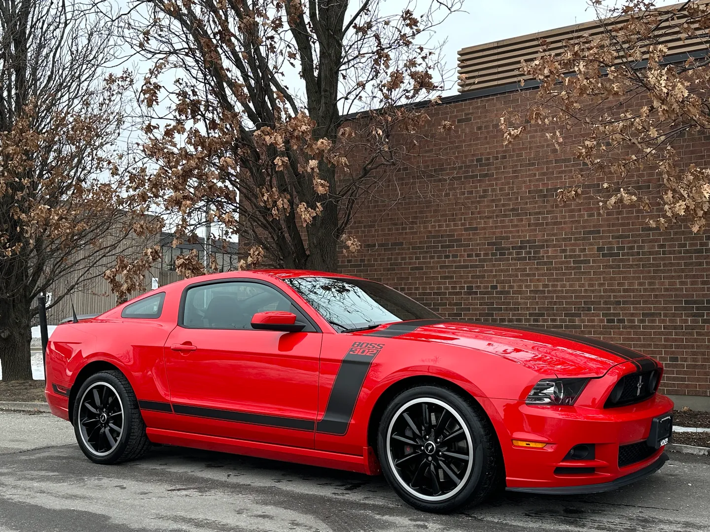 Ford Mustang Boss 302 — photo 81