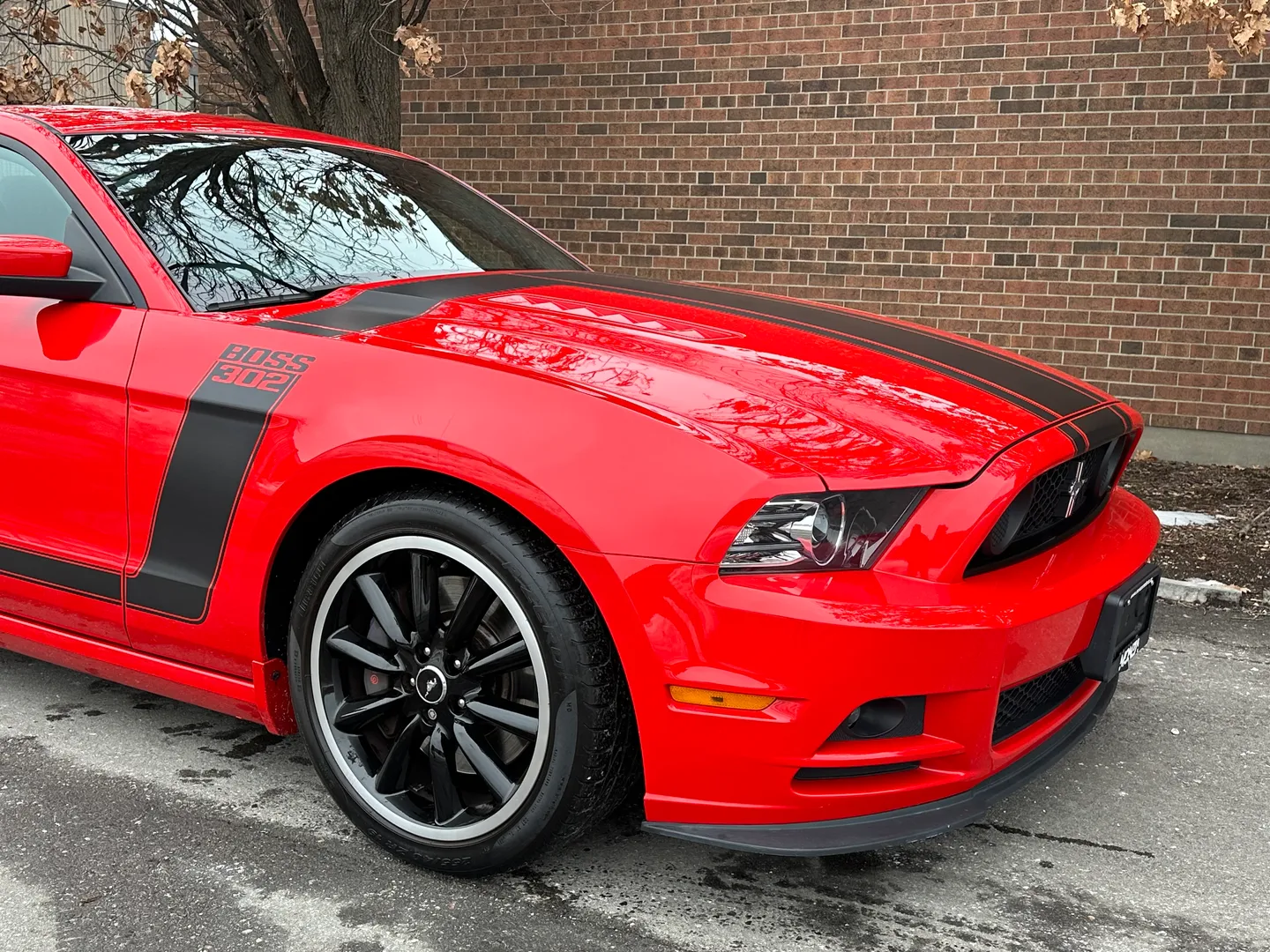 Ford Mustang Boss 302 — photo 82