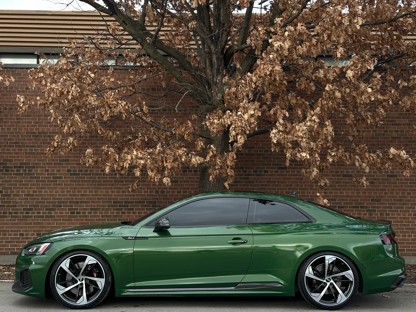 Audi RS5 Coupe — photo 10