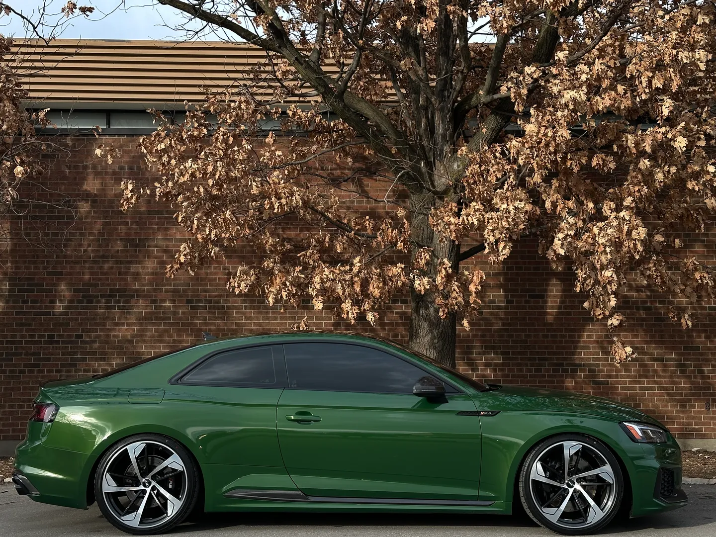 Audi RS5 Coupe — photo 93