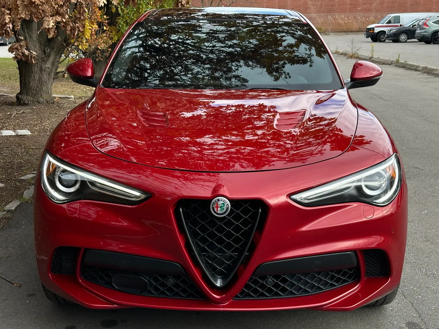 Alfa Romeo Stelvio Quadrifoglio  — photo 3
