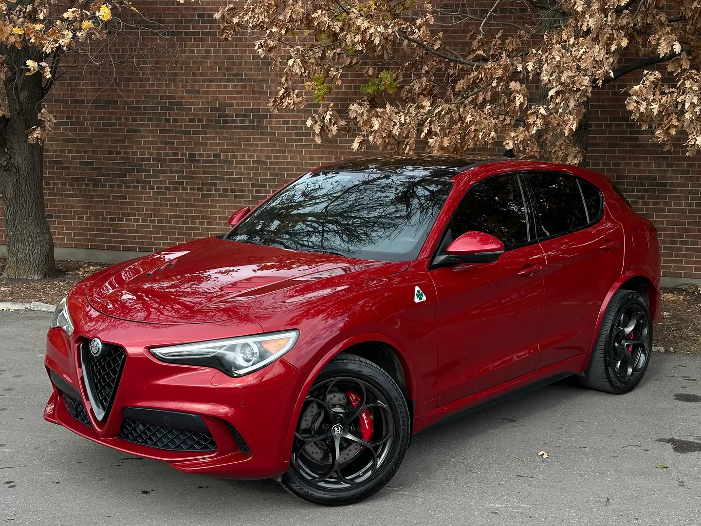 Alfa Romeo Stelvio Quadrifoglio  — photo 2