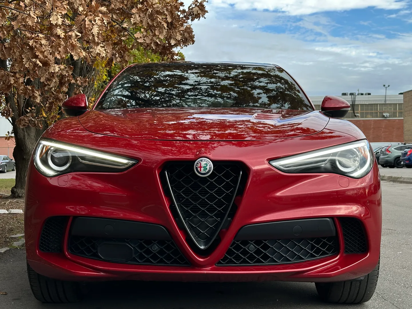 Alfa Romeo Stelvio Quadrifoglio  — photo 4