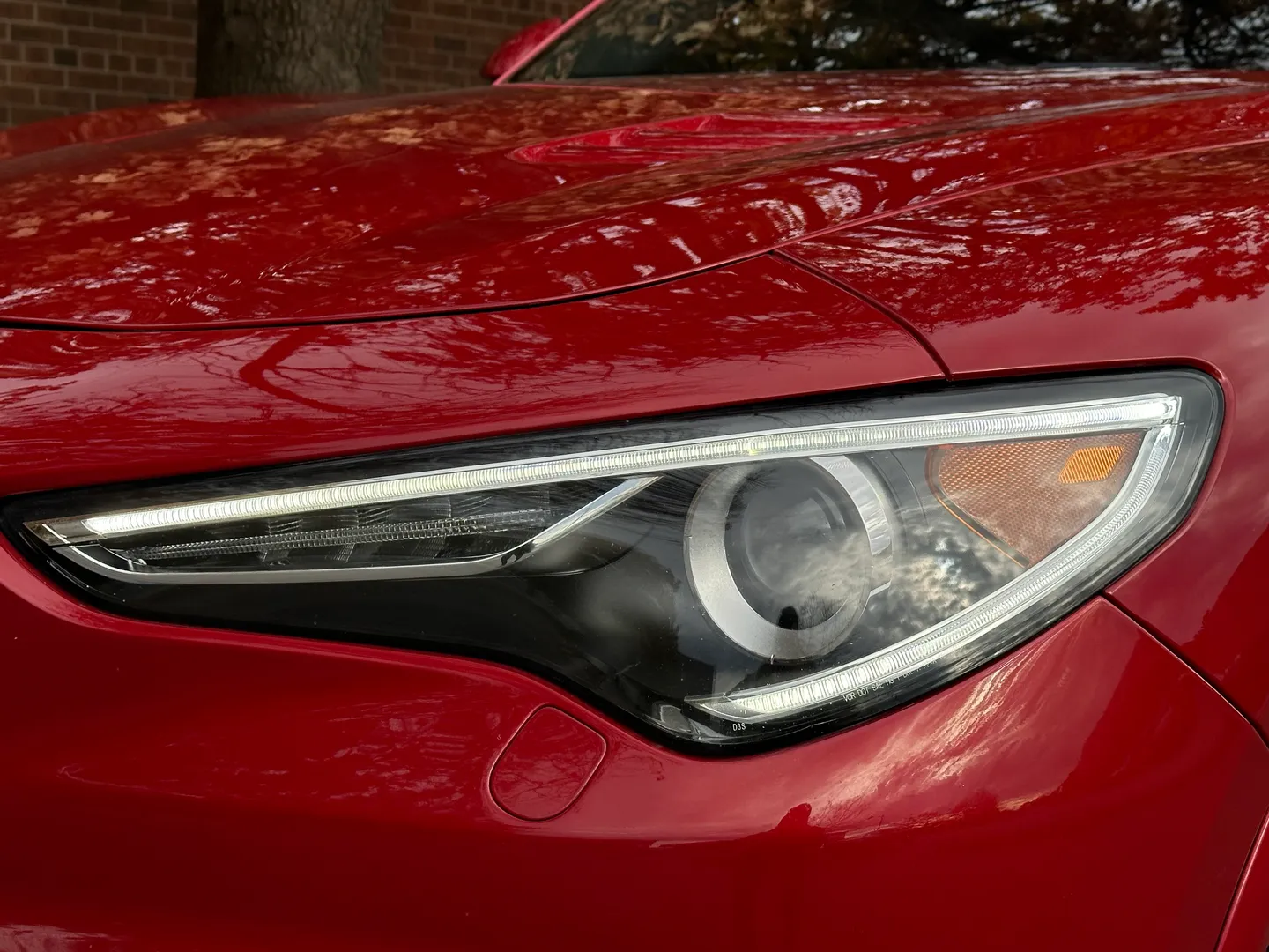 Alfa Romeo Stelvio Quadrifoglio  — photo 6