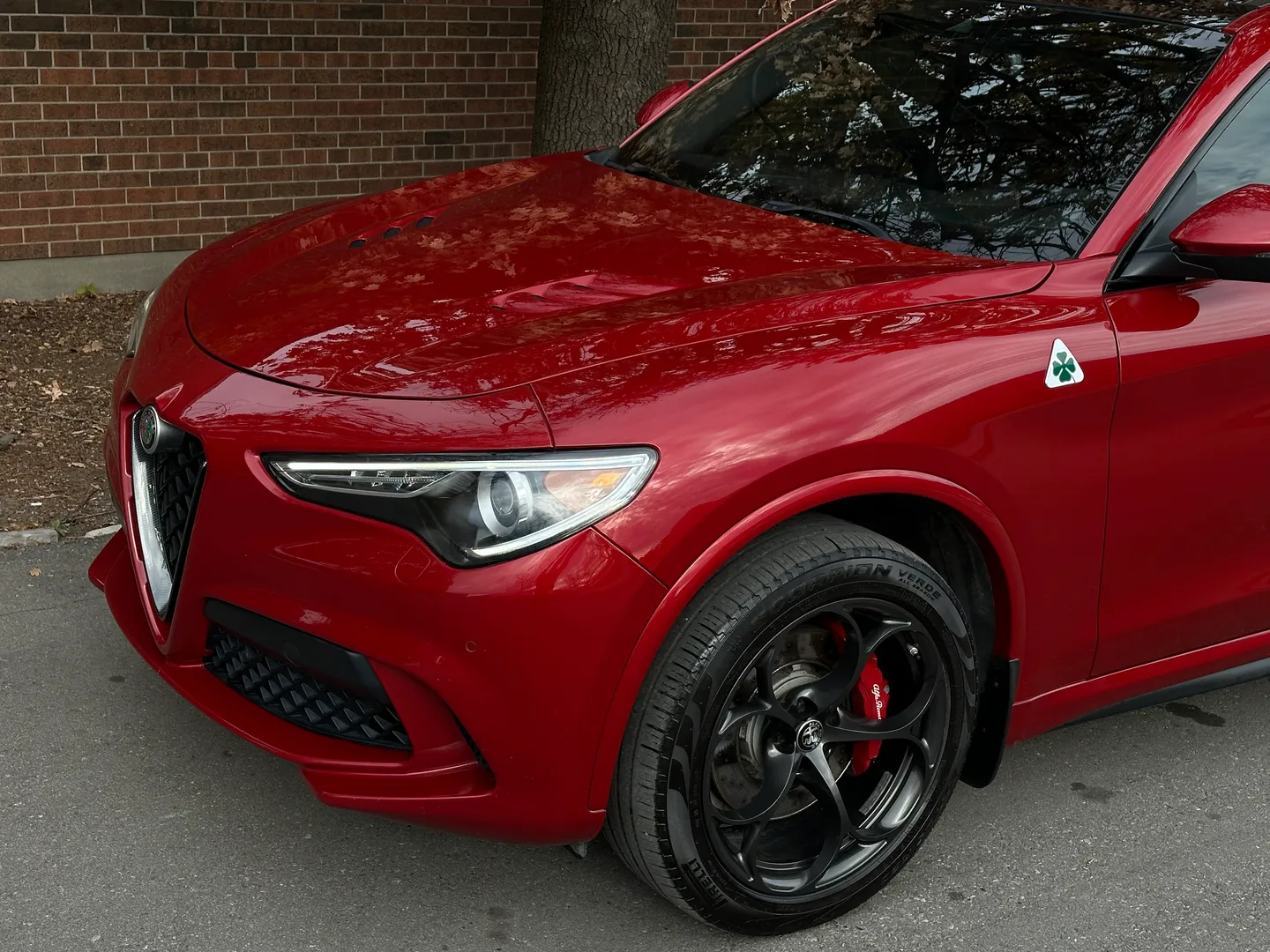 Alfa Romeo Stelvio Quadrifoglio  — photo 7