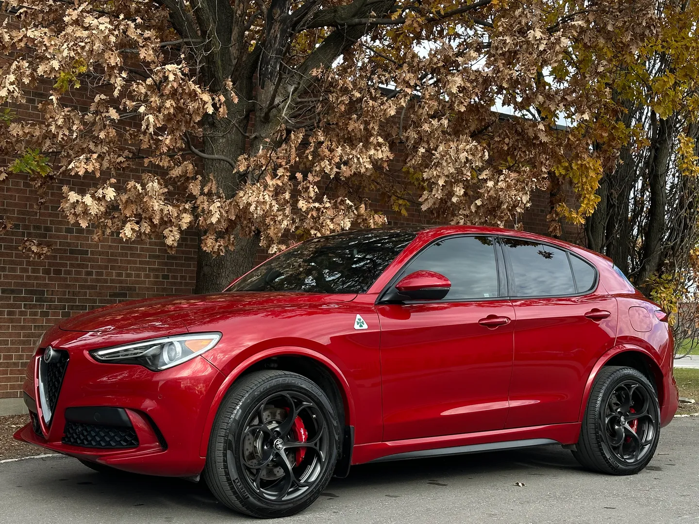 Alfa Romeo Stelvio Quadrifoglio  — photo 8
