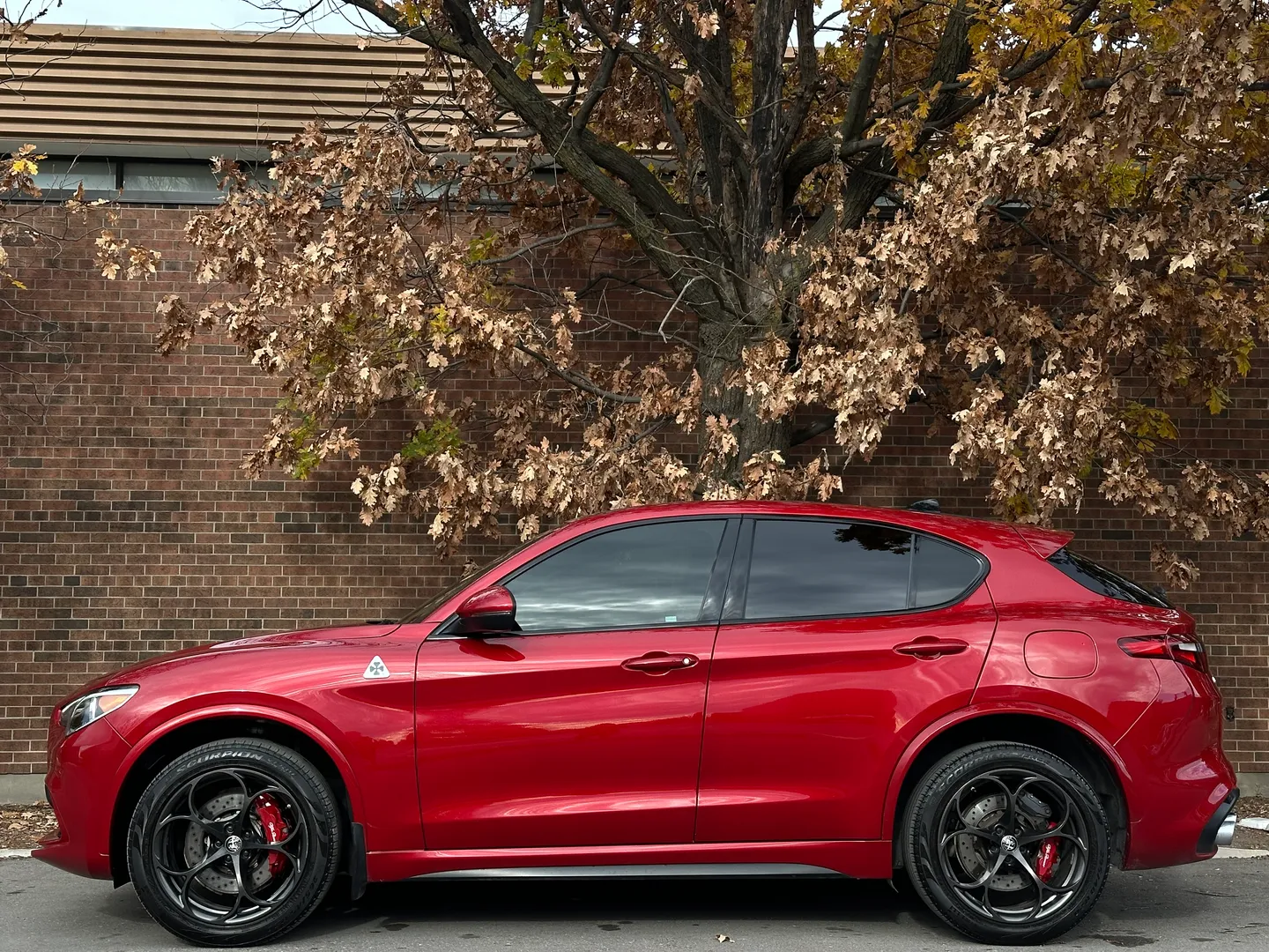Alfa Romeo Stelvio Quadrifoglio  — photo 9