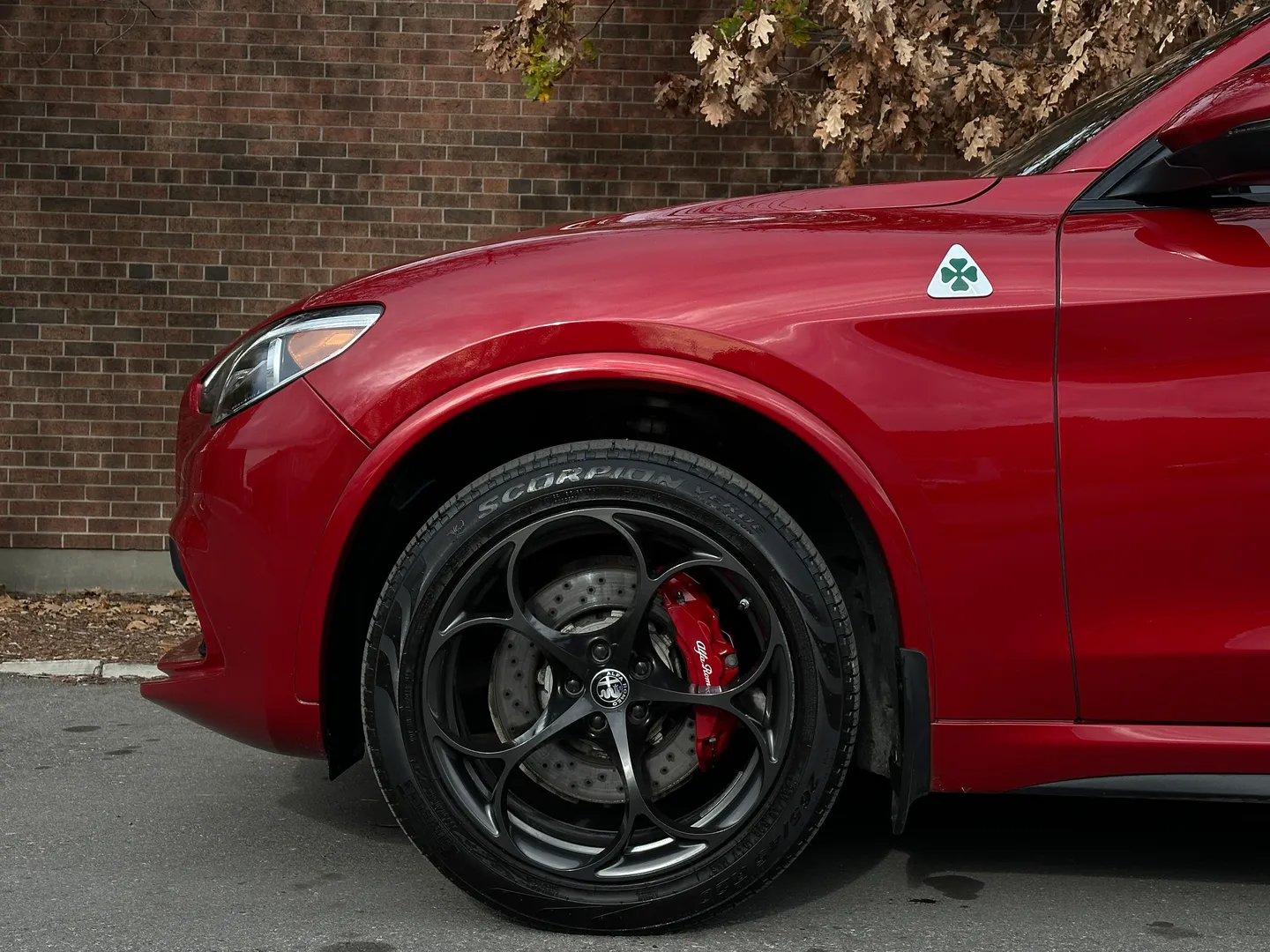 Alfa Romeo Stelvio Quadrifoglio  — photo 10