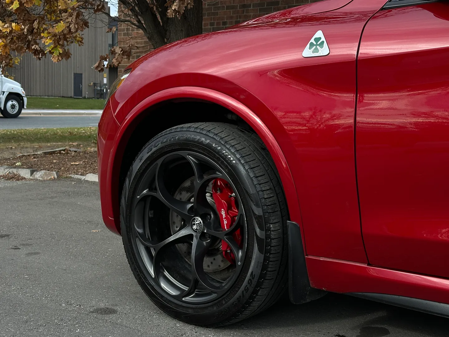 Alfa Romeo Stelvio Quadrifoglio  — photo 12