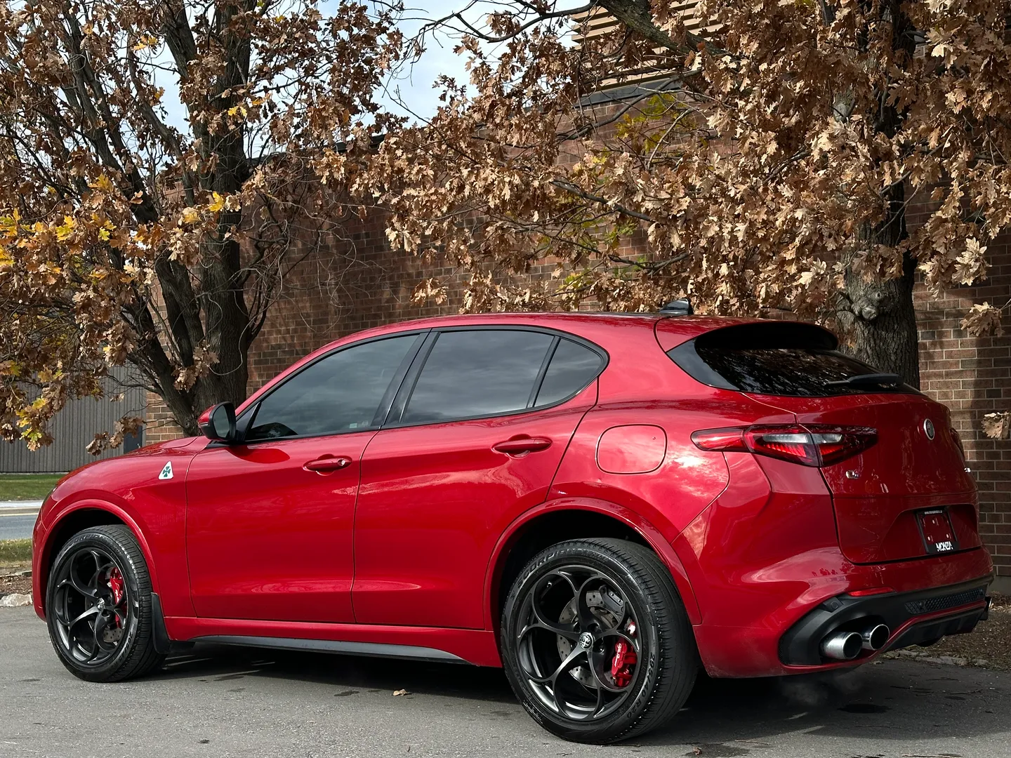Alfa Romeo Stelvio Quadrifoglio  — photo 18