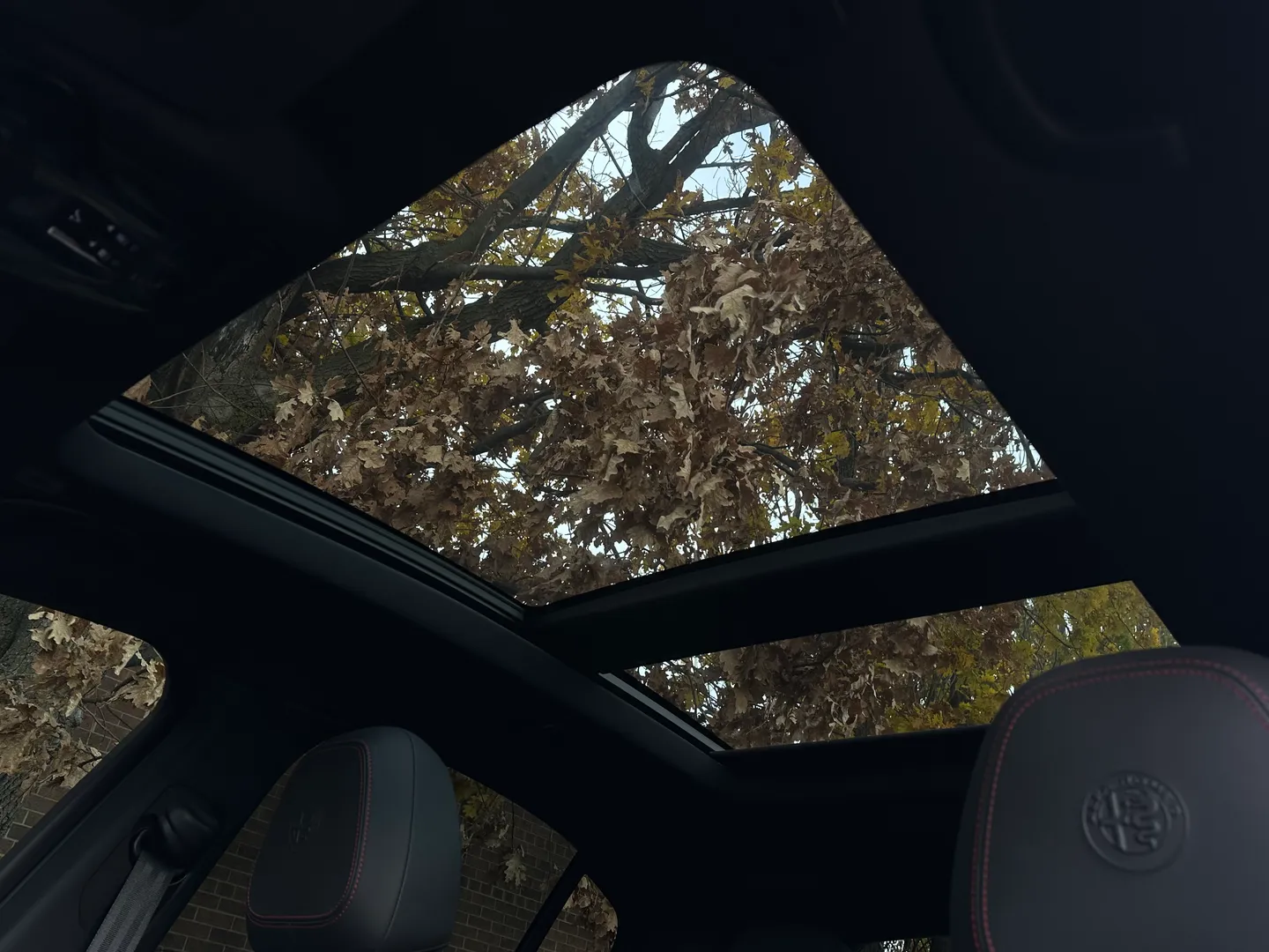 Alfa Romeo Stelvio Quadrifoglio  — photo 59