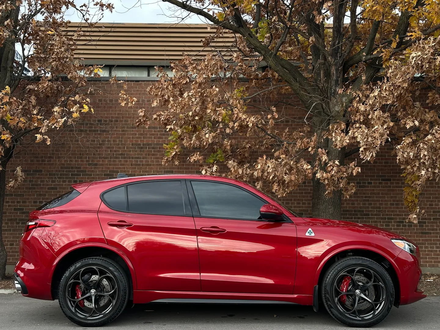 Alfa Romeo Stelvio Quadrifoglio  — photo 86