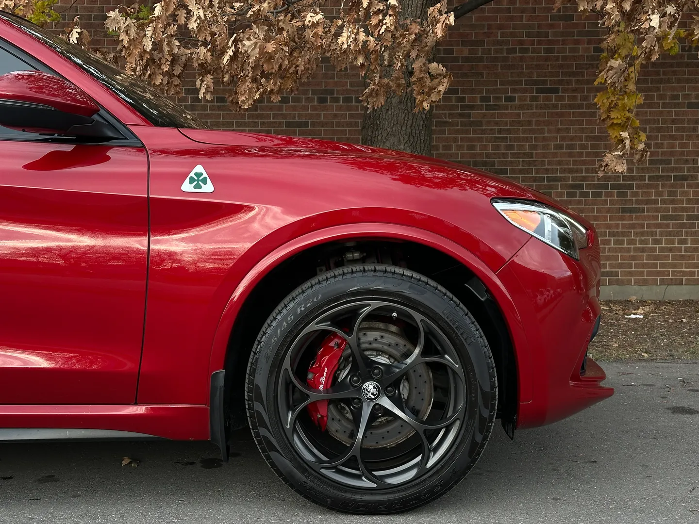 Alfa Romeo Stelvio Quadrifoglio  — photo 88