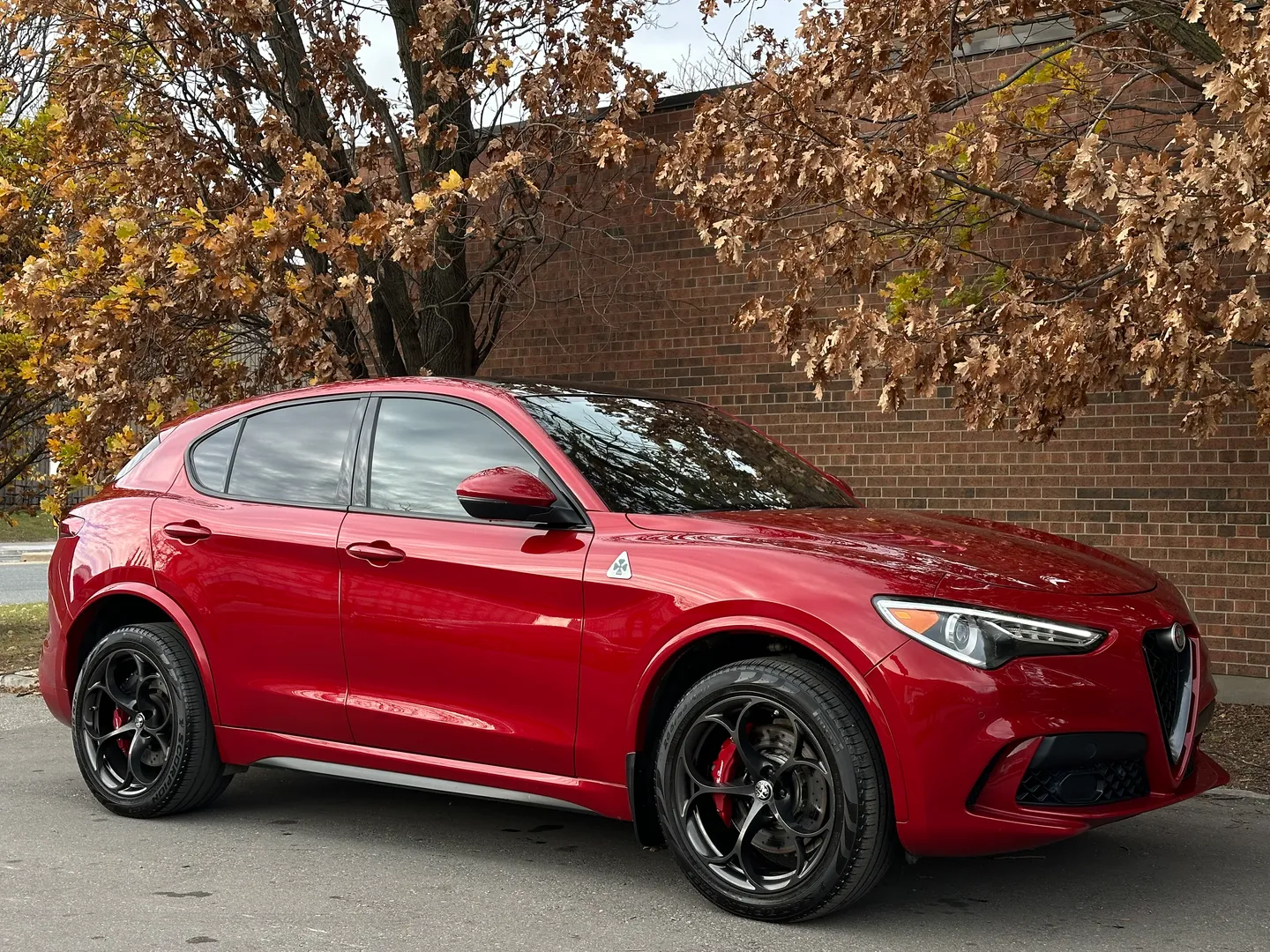 Alfa Romeo Stelvio Quadrifoglio  — photo 89