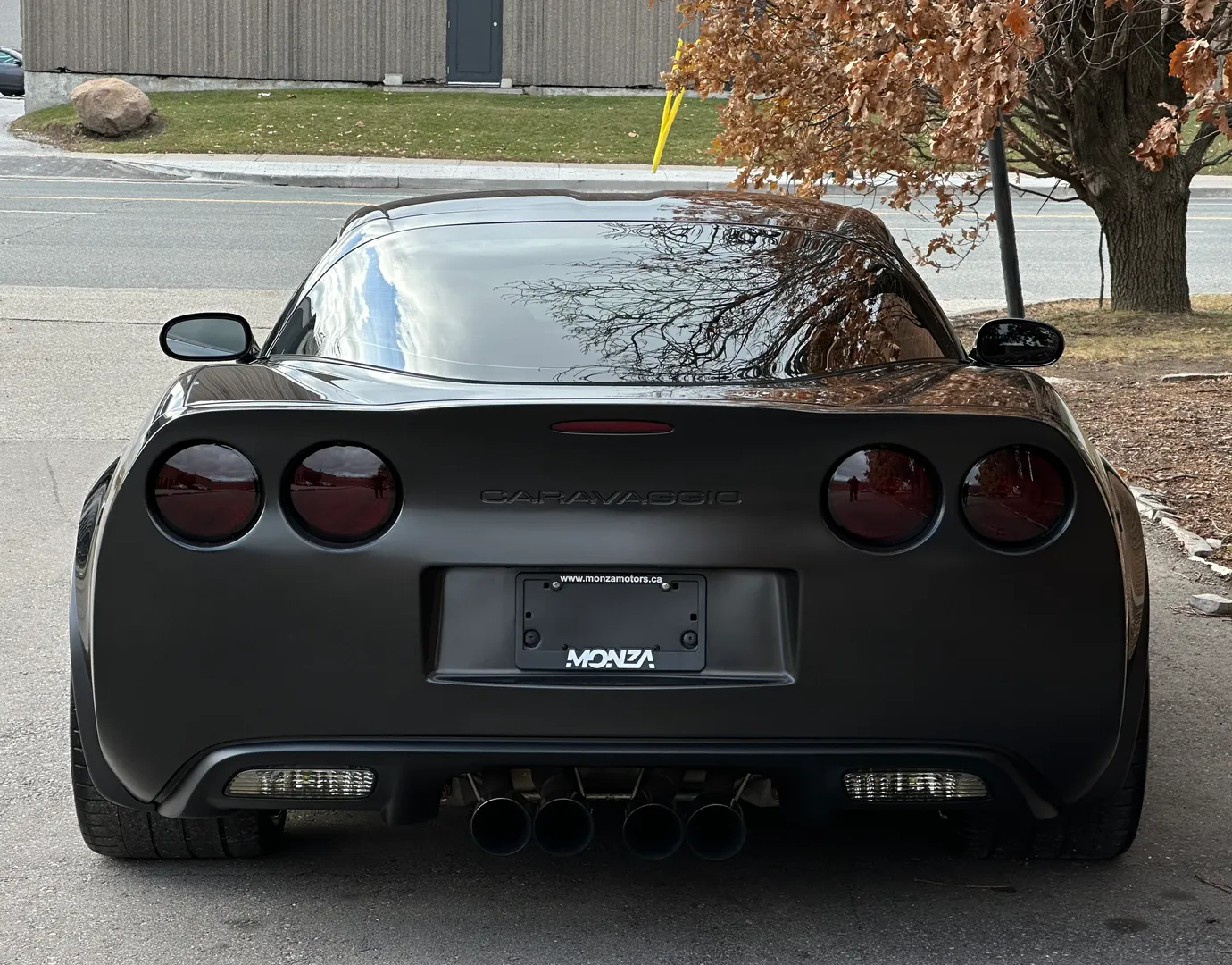Chevrolet Corvette Z06 Caravaggio  — photo 19