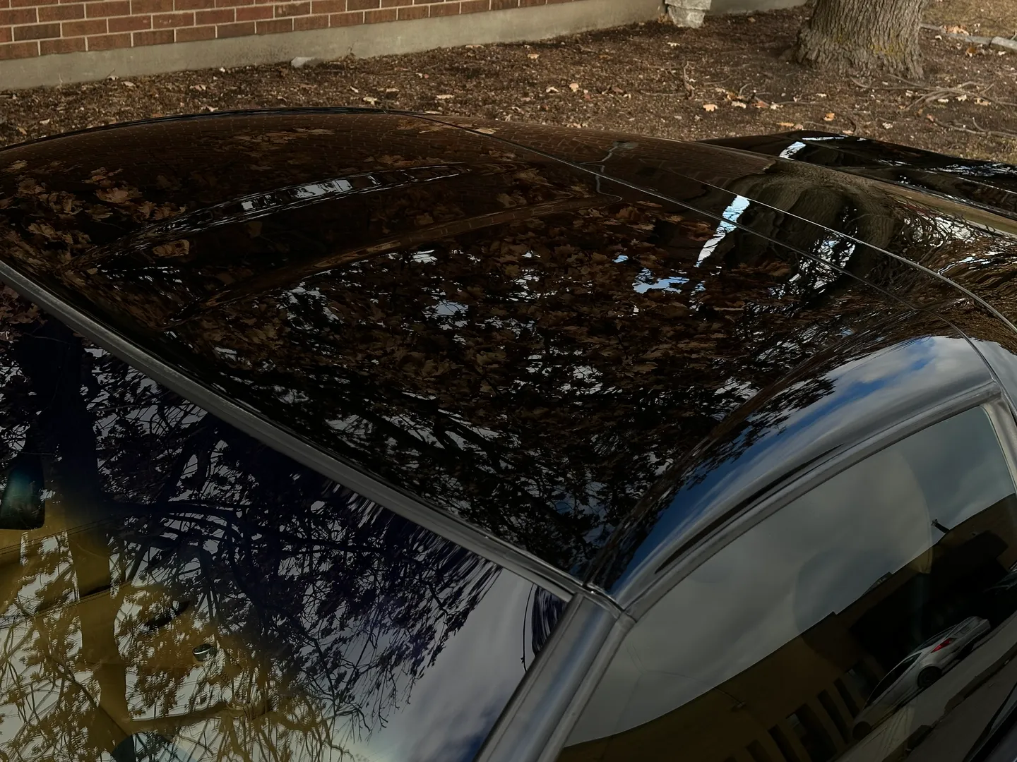 Chevrolet Corvette Z06 Caravaggio  — photo 17