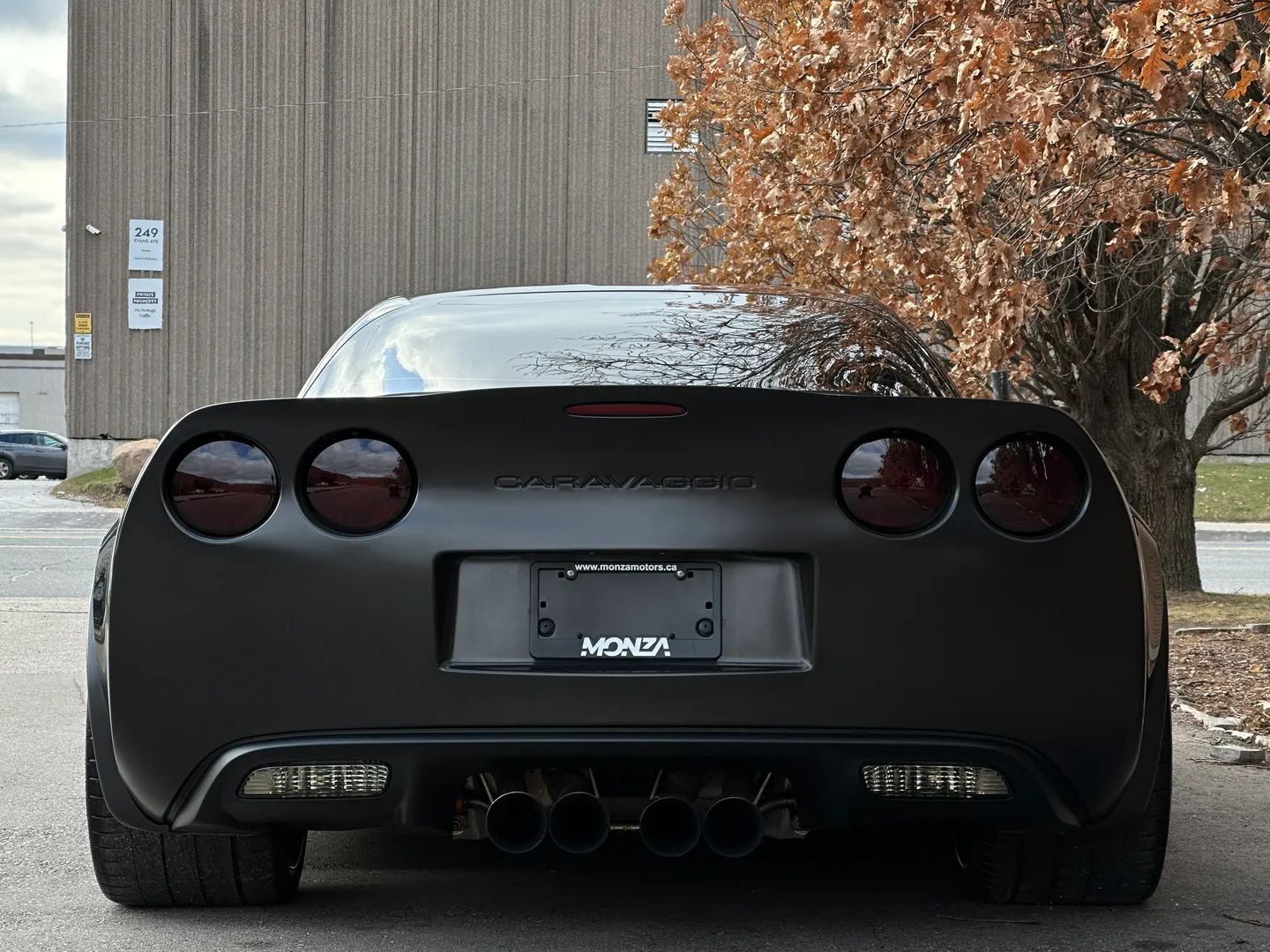 Chevrolet Corvette Z06 Caravaggio  — photo 20